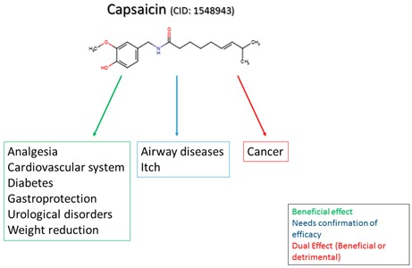 Capsaicin-und-Krankheiten