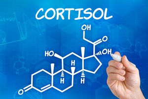cortisol-estrés-y-pérdida-de-peso