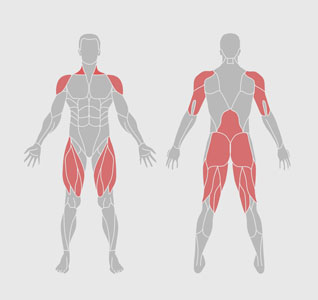 músculos-ejercicio-físico-estiramiento-cuerpo entero