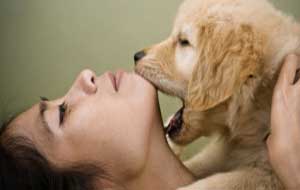 Building a good master-dog relationship