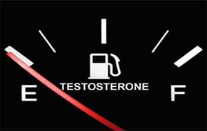 How important is testosterone in a man’s sex life?