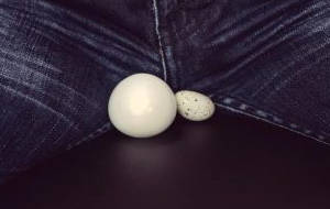 Est-il normal d’avoir des testicules de tailles différentes? Et quand faut-il s’inquiéter?