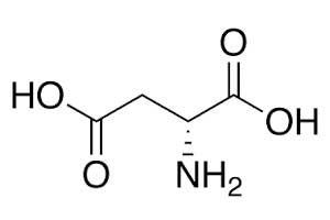 Acide D Aspartique testostérone