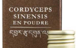 Anastore Cordyceps Sinensis Sauvage