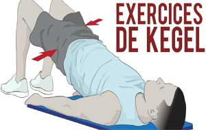 Kegel exercises, sexual gymnastics to last longer