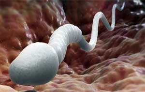 Sind Ihr Sperma und Ihre Spermien nicht gesund?