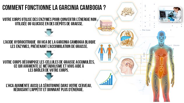 fonctionnement-garcinia-cambogia-calcium-potassium