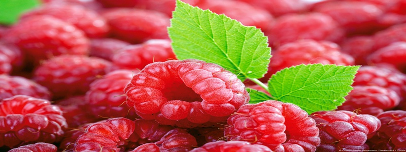 raspberries-ingredient-of-raspberry-ketone-max