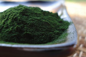 poudre-de-chlorella-exemple-des-algues-pour-maigrir