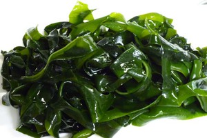wakame-une-espece-des-algues-pour-maigrir