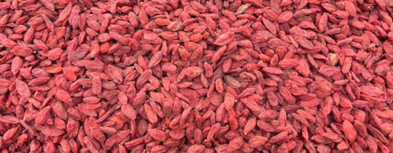 medicinal-uses-of-goji-bay