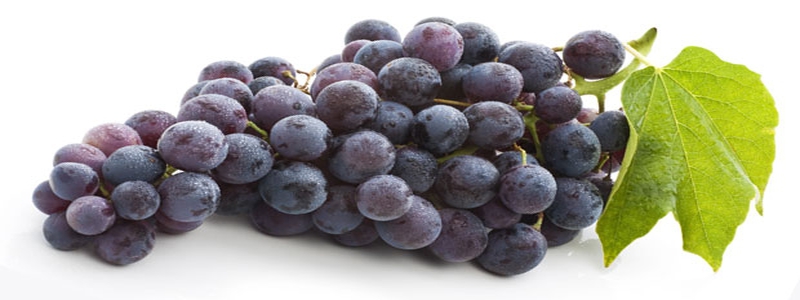 raisin-source-de-resveratrol-extrait-de-vin-rouge