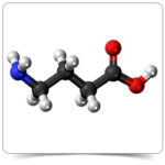 gaba-gamma-amino-butyric-acid