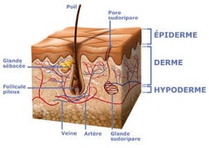 Menselijke huidstructuur
