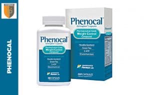 Phenocal Introduction