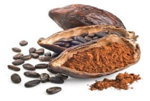 Extrait de Cacao