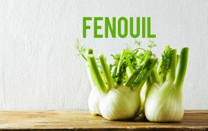 Fennel for slimming