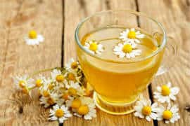 Chamomile flower herbal tea