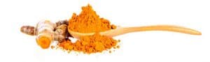 Turmeric with Black Pepper Extract - Poudre