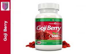 vial-of-Goji-Berry-Extract-500mg
