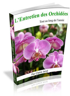 L'Entretien des Orchidées