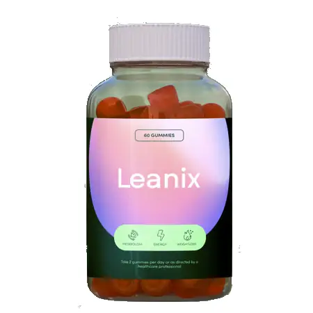 Leanix