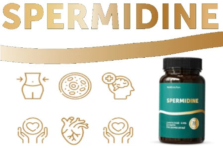 Spermidine
