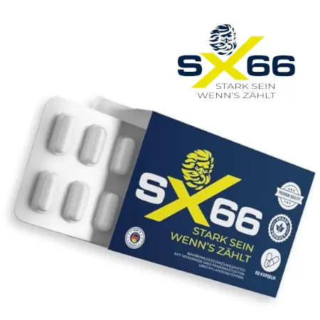 SX66