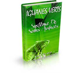 Système de Soins Avancés pour Iguanes Verts